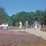 Bergen en bossen in de Harz